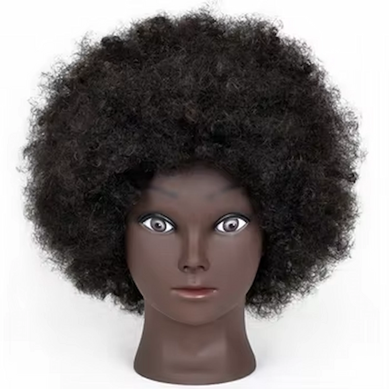 Training head- (19)