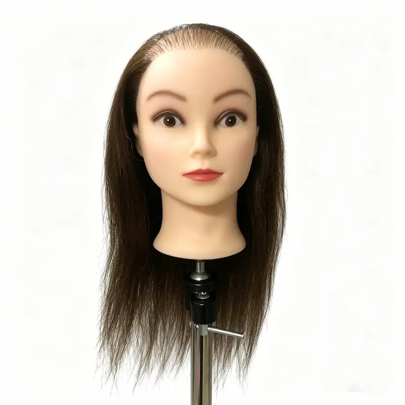 Bulk Buy Cosmetology Mannequin Head with Mixed Hair